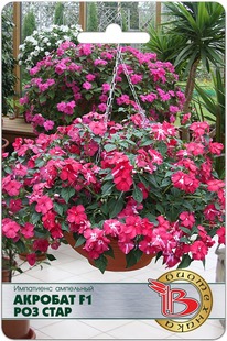 ��������� ��������� �������� F1 ��� ����