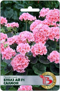 ����������  ����� �� F1 ������