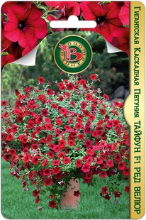 ������� ���������� ��������� ������ F1 ��� �����