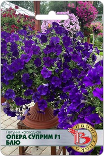 ������� ��������� ����� ������ F1 ���