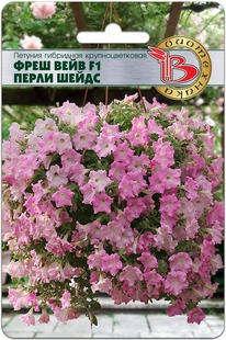 ������� ��������� ���� ���� F1 ����� �����