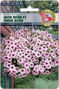 ������� ��������� ��� ���� F1 ���� ����