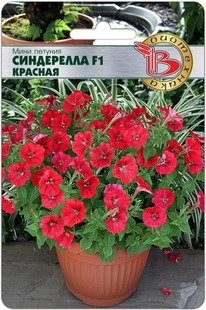 ���� ������� �������������� ���������� F1 �������