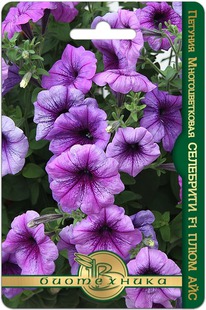 ������� �������������� ��������� F1 ���� ���