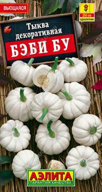 ����� ���� �� ������������