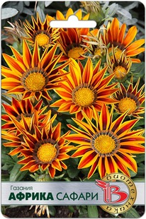 ������� ������ ������