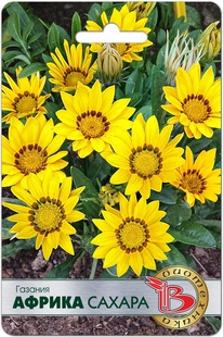 ������� ������ ������