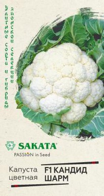 ������ ���� F1 ������ �������