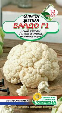 ����� F1 ������� �������