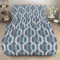 ������� ���������� ����� �� ���� ���� (70101)