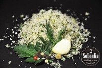 ���� �������. ���!