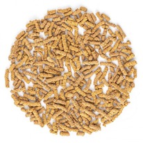 ��� ��������� �� ��� ������� 100 ��