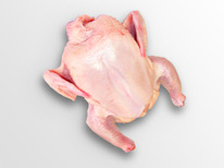 ������� ���������