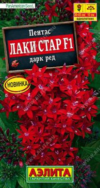 ������ ���� ���� F1 ���� ���