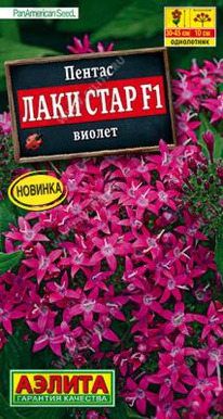 ������ ���� ���� F1 ������