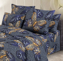 ������� ���������� ����� �� ������� ����