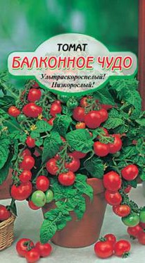 ��������� ���� �����