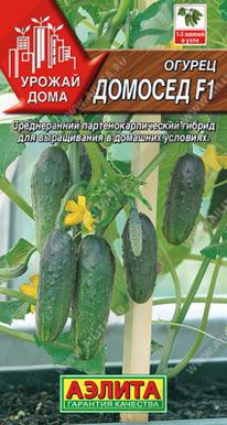 ������� F1 ������