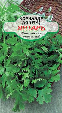 �������� ������