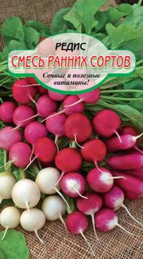 ����� ������ ������ �����