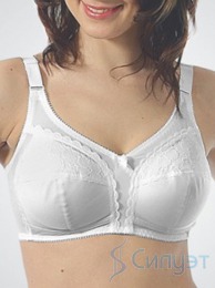 1117 �����������