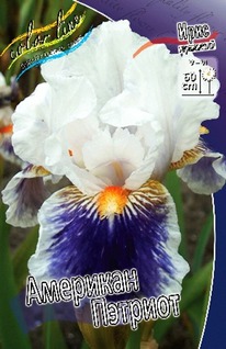 ���� �������� �������, I