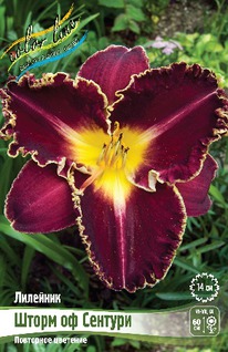 �������� ����� �� �������, I