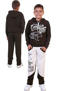 ������ ���������