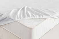 ����������� �����������