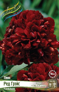 ���� ��� ����� 2/3 n