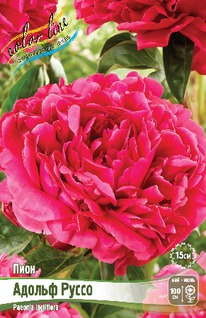 ���� ������ ����� 2/3 n