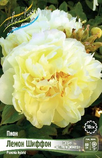 ���� ����� ������ 2/3n