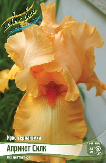 ���� ���������� ������� ����