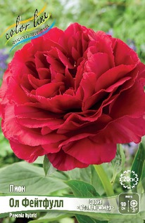 ���� �� ��������