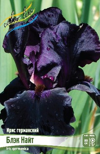 ���� ���������� ���� ����