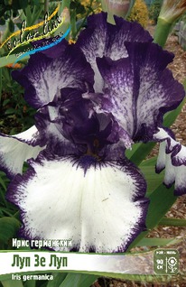 ���� ���������� ��� �� ���