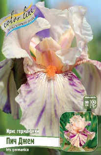 ���� ���������� ��� ����