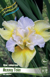 ���� ��������� ������ ����