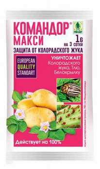 �������� �����- 1�� (�� �����.���� � ��.)