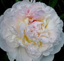 ���� ����� �������, 2/3 n