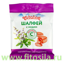 ������� ������ � �����, ���������� �������� �� ������ ������ � ���� � ���������