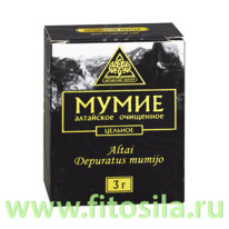 ����� ��������� ������� - ���, 3 �, �. �. 