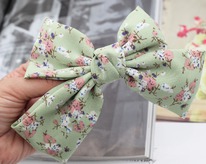 ���� �� �������