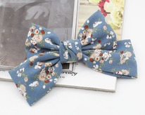 ���� �� �������