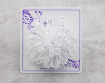 ������� ��� ����� V71277120749