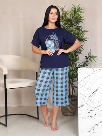 ��-591 � �������� ������ (�������)