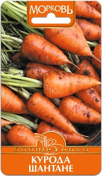 ������� ������ �������