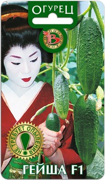 ������ ����� F1