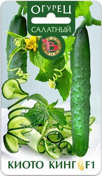 ������ ����� ���� F1