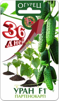 ������ ���� F1